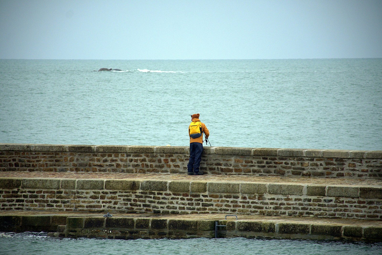 Comment planifier ses sessions de pêche pour des résultats réguliers et efficaces